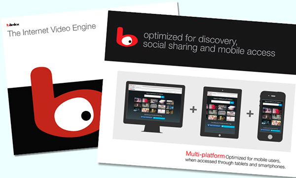PowerPoint design for the CEO's presentation to shareholders